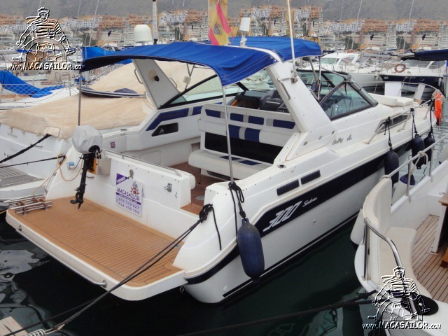 Sea Ray 300 DA